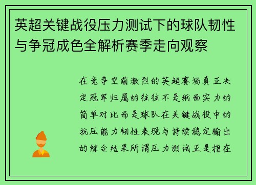 英超关键战役压力测试下的球队韧性与争冠成色全解析赛季走向观察